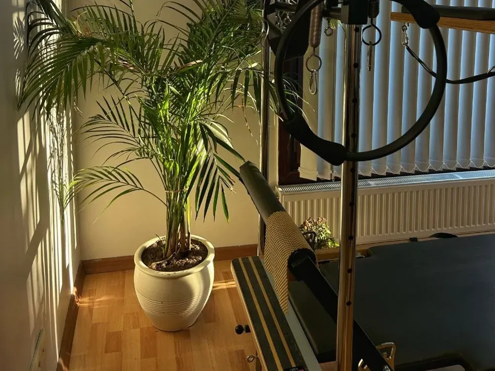 NK Pilates Studio Avcılar reformer pilates salonu ve profesyonel ekipmanlar