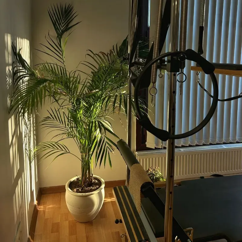 NK Pilates Avcılar profesyonel reformer ekipmanları